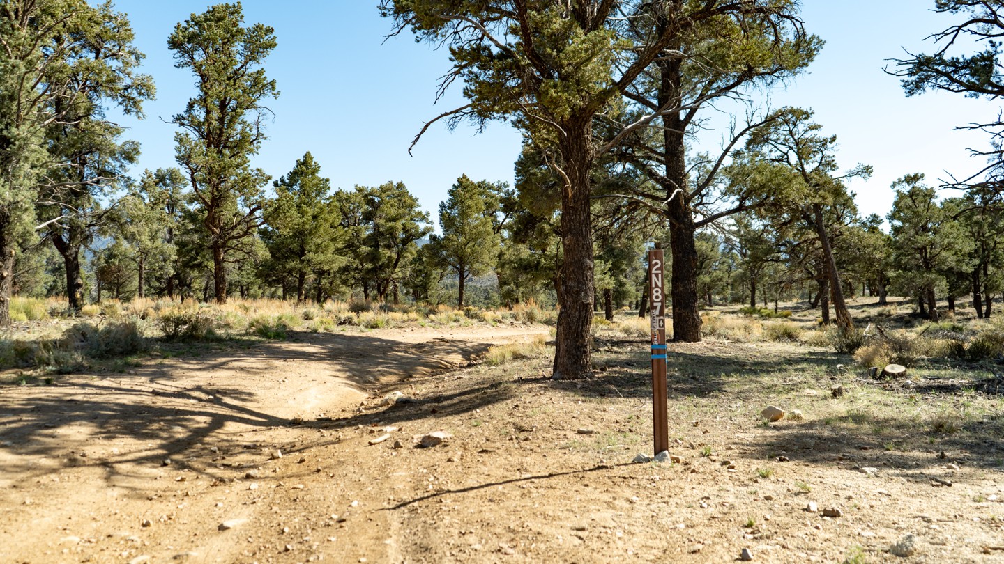 2N02 Burns Canyon California Offroad Trail